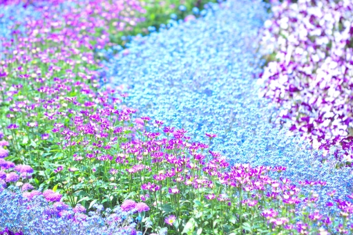 センスのいい花壇 植込みの色の法則 エクステリアガーデン お庭の設計 施工の専門店グリーン企画