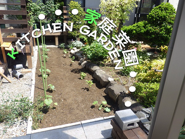 ガーデニングと両方楽しめる家庭菜園に庭をリフォーム エクステリアガーデン お庭の設計 施工の専門店グリーン企画