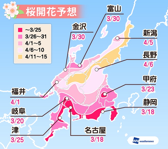 長野県（松本市～高遠）の桜の開花予想・満開予想はいつ？