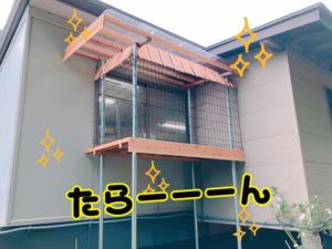 家猫用ベランダついに完成！にゃんこ大満足のくつろぎスペース！