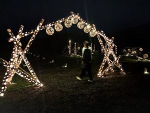光と竹のコラボ!辰野ほたる祭りがレベルアップしていた!!