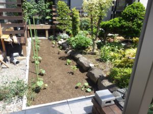 庭の一角を家庭菜園にリフォームで野菜作りデビュー!
