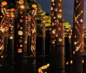 光と竹のコラボ！辰野ほたる祭りがレベルアップしていた!!