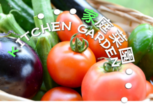 ガーデニングと両方楽しめる家庭菜園に庭をリフォーム