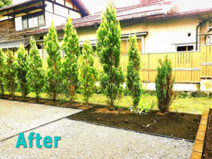【施工後】防草シートでメンテナンス不要!きちっと仕切ってメリハリのある庭