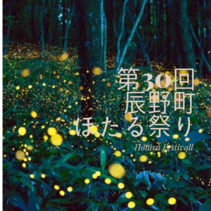 【2018年】第70回辰野町ほたる祭りに行ってきました~!!