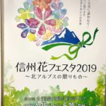 ２０１９年信州花フェスタに向けて～木で作る馬・たぬき・トナカイ