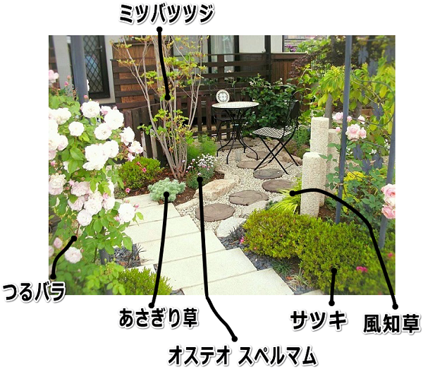 バラのアーチと小庭