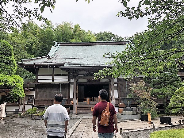 鎌倉 報国寺で竹林散策後の抹茶が最高！紫陽花６月の梅雨の時期の本堂