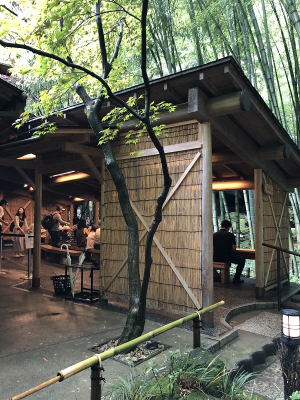 鎌倉 報国寺で竹林散策後の抹茶が最高！紫陽花６月の梅雨の時期の竹林散策で抹茶を頂く