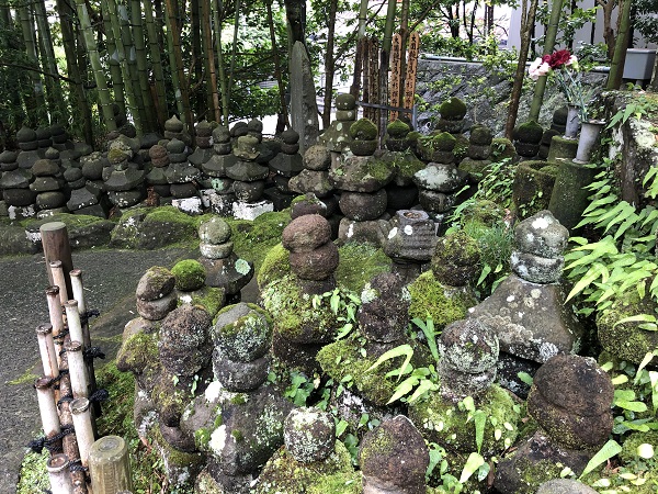 鎌倉 報国寺で竹林散策後の抹茶が最高！紫陽花６月の梅雨の時期の竹林散策で抹茶を頂く