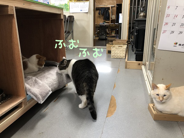 【ＤＩＹ】猫ベット新調しました!!