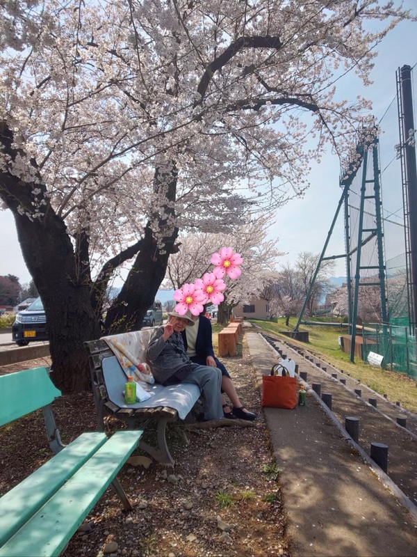 コロナウィルスの影響で外出自粛している中、松本は桜が満開です。  大々的なお花見も、外食も出来ないので、おばあちゃんを連れて、桜を少しだけ見に行ってきました。