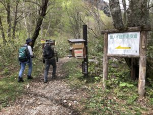 針ノ木岳に山菜採りへ行ってきました！