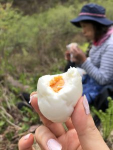 針ノ木岳に山菜採りへ行ってきました！