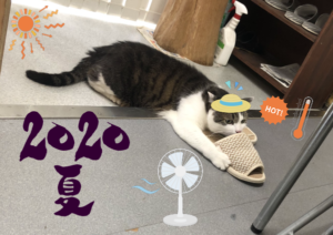 お盆休みのお知らせ