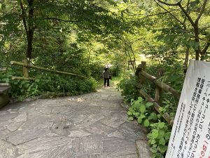 安曇野の滝(須砂渡 烏川渓谷)川遊びを楽しむ夏休み☆