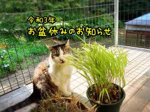 お盆休みのお知らせ