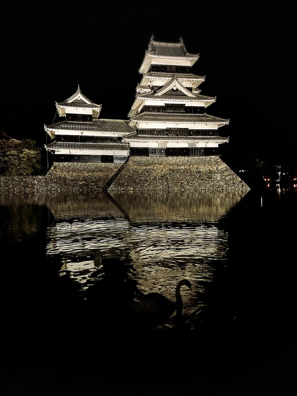 日本最古の国宝夜の松本城🏯紅葉とライトアップ　松本城の紅葉が始まりました