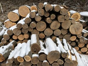 槐（えんじゅ）の木で釣りのエサ入れを手作りしました☆原木を欲しい方も募集中！