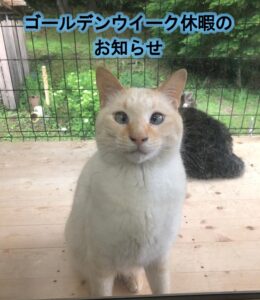 ゴールデンウィーク休暇のお知らせ