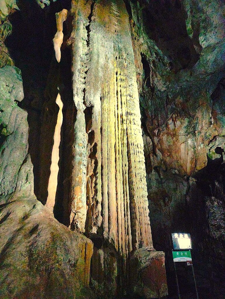 令和8年度グリーン企画社員研修旅行レポート☆山口下関~九州福岡の旅