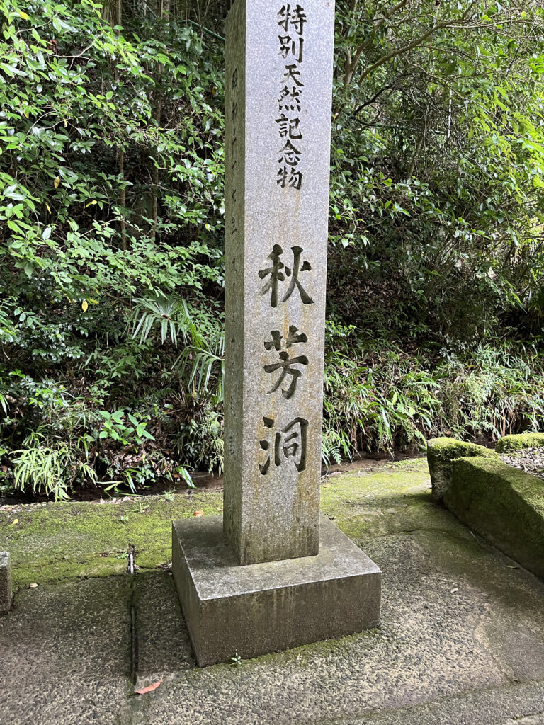 令和8年度グリーン企画社員研修旅行レポート☆山口下関~九州福岡の旅