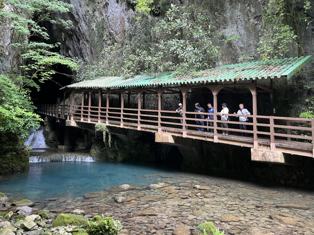 令和8年度グリーン企画社員研修旅行レポート☆山口下関~九州福岡の旅