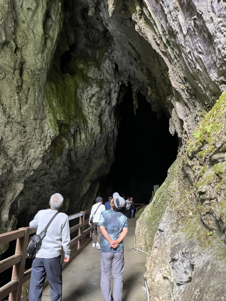 令和8年度グリーン企画社員研修旅行レポート☆山口下関~九州福岡の旅
